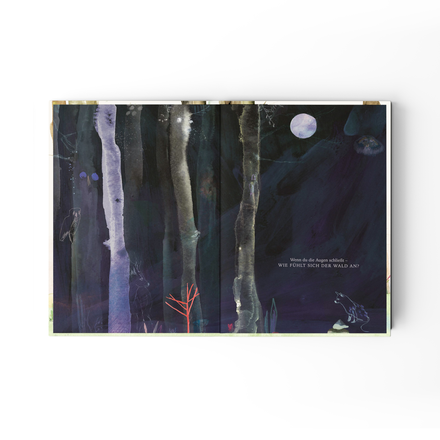 Jupitermond Verlag Kinderbuch 'Das Leuchten des Waldes'