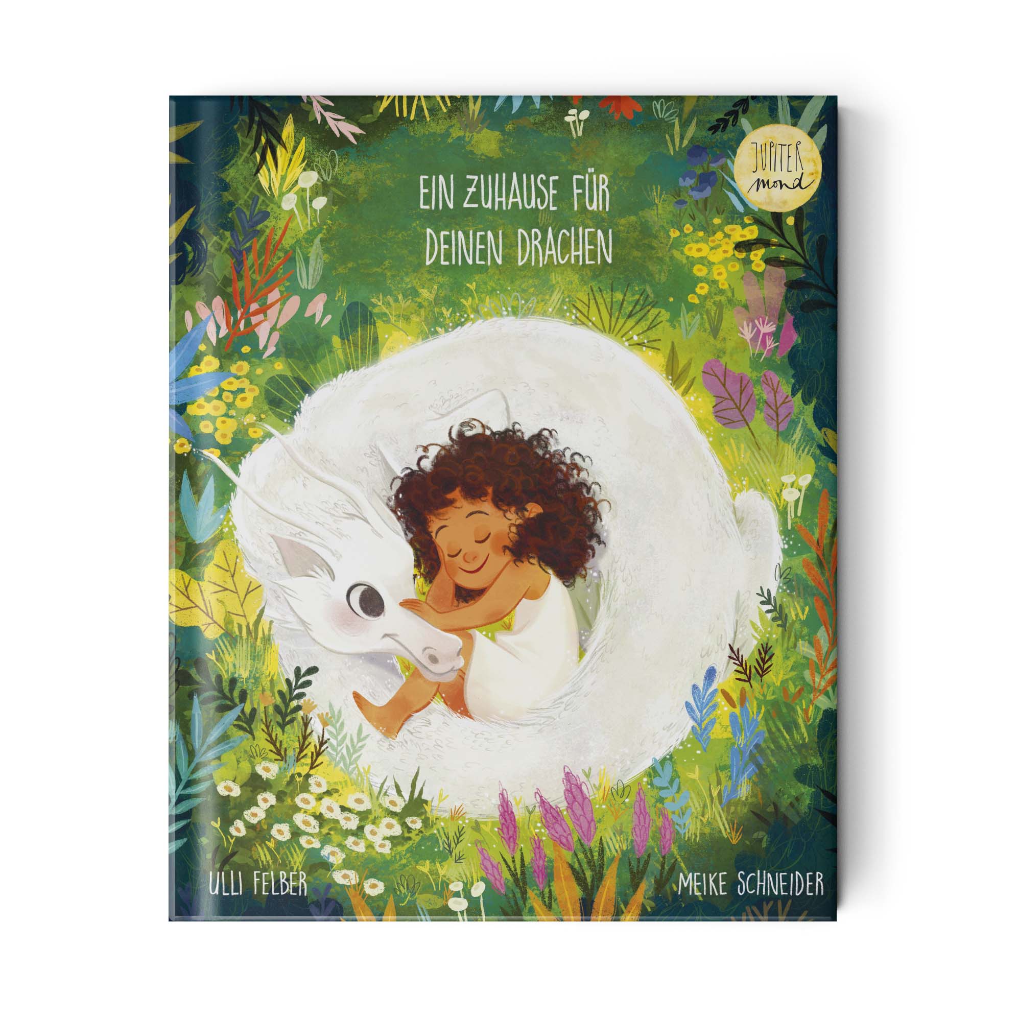 Jupitermond Verlag Kinderbuch 'Ein Zuhause für deinen Drachen'