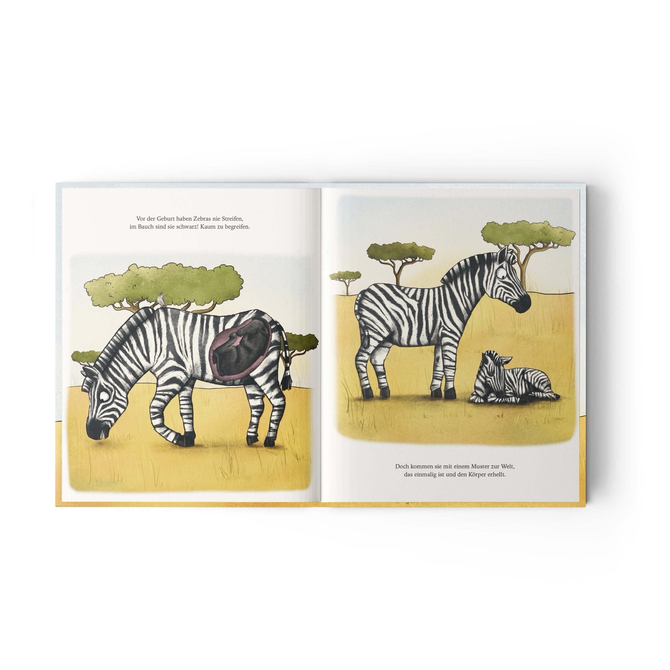 Jupitermond Verlag Kinderbuch 'Noomi, das streifenlose Zebra'